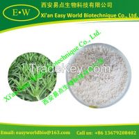 Aloe vera freeze-dried powder