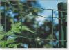 Sell Fence Mesh