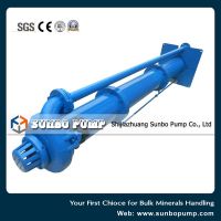 Single Stage Mineral Processing Vertical Slurry Pump