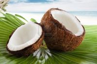 Sell Fresh Coconuts