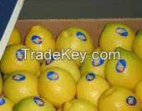 Fresh Eureka Lemon, Limes, Lemon, Avocado and Apples on hot sales