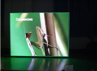 Sell Indoor LED Display