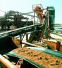 Sell Polyester Fabric Conveyor Belts