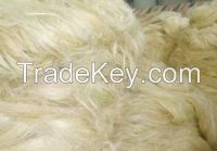 Sisal Fiber 100% Natural Raw