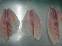 FROZEN TILAPIA FISH FILLET