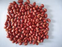 red skin peanut kernels ( Good quality and cheap prices )