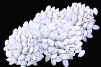 Snow White Pumpkin Seeds