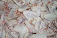 Good Quality Frozen Chicken Wings