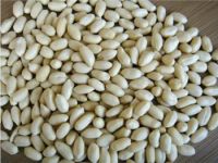 Blanched Peanuts -New Crop- Good price