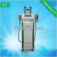 Effective Cryolipolysis weight loss+CE+body slimming