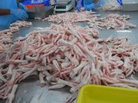 hot sale high quality frozen chicken feet export