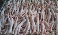 Fresh Frozen Chicken Feet