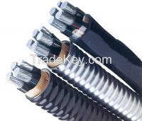 Aluminum alloy electric power cable