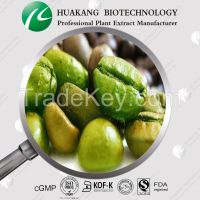 Supply Natural Green Coffee Bean Extract