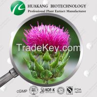 Milk Thistle P.E. Extract