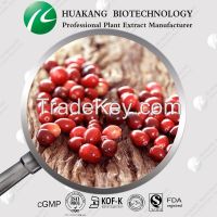 25% Anthocyanidins Cranberry Bilberry P E