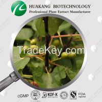 Pharmaceutical Grade Saw Palmetto