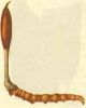 Sell Natural Cordyceps Sinensis
