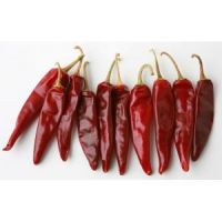 Dehydrated Red Chilli