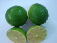 sell seedless lime