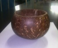 coconut shell