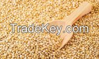 bether nutrition Quinoa, Amaranto, Chia Grains
