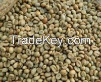 Robusta coffee beans available for sale