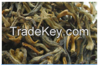 Organic Traditional Tea Supplier from China