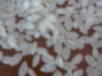 Sell ordinary rice and high quality rice or exquisite rice