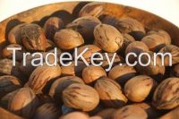 Pecan Nuts