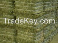 Alfalfa Hay & Alfalfa Pellet