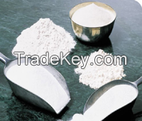 Whey Powder