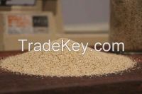 Teff Seeds, Brown & Ivory Teff Seed