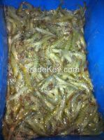 Farmed Fresh/Frozen Vannamei Shrimp HOSO (Head on, Shell on), Frozen Pacific white shrimp, Litopenaeus vannamei