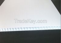Execellet Strength white pp hollow Plastic Sheets