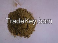 Sea Cumcumber Extract