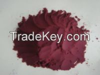 Grape Seed Extract