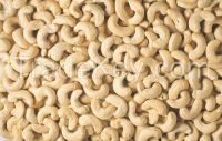 PROCESSED CASHEW NUTS