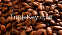 COCOA BEANS AVAILABLE FOR SALE