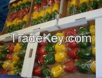 Fresh capsicum