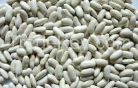 WHITE KIDNEY BEANS