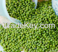Green Bean / Mung Beans For Sale