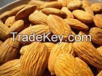 Almond Nuts  Cashew Nuts Pistachios Bettel Nuts  All Nut Brazil Nuts