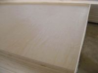 Sell carb plywood