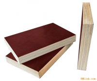 sell film faced plywood and commercial plywood