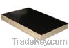 Sell chinese black film faced plywood
