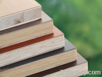Sell pine blockboard