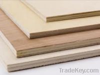 Sell special size plywood