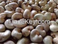 raw cashew nuts