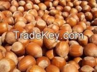 organic/roasted/raw hazelnuts